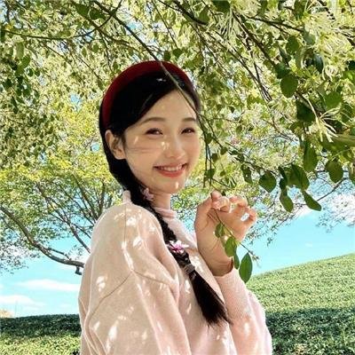 杀手·蝴蝶·梦